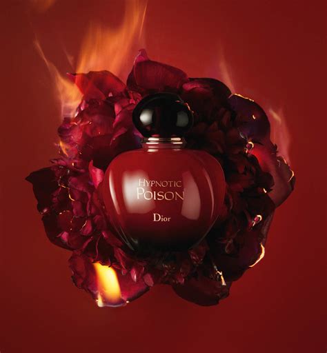 ipnotic profumo dior|Dior Hypnotic Poison: Timeless, Intricate Simplicity.